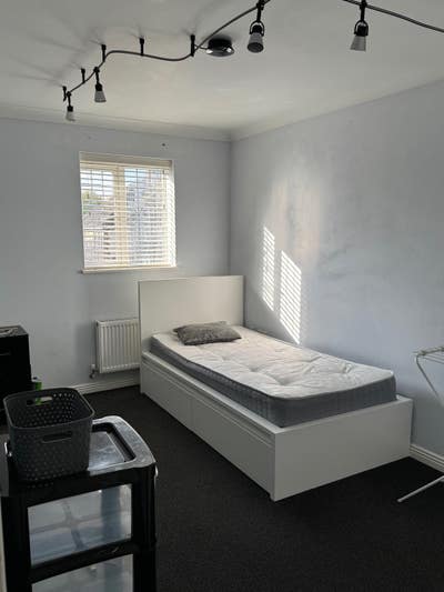 Single room available for girl Main Photo