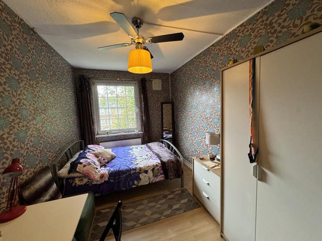Best Room in the Best Location - Sort It Out Here  Main Photo