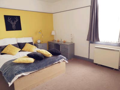 Female Great House Share Main Photo