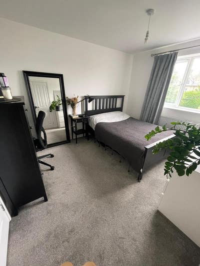 Beautiful ensuite room next to station Main Photo