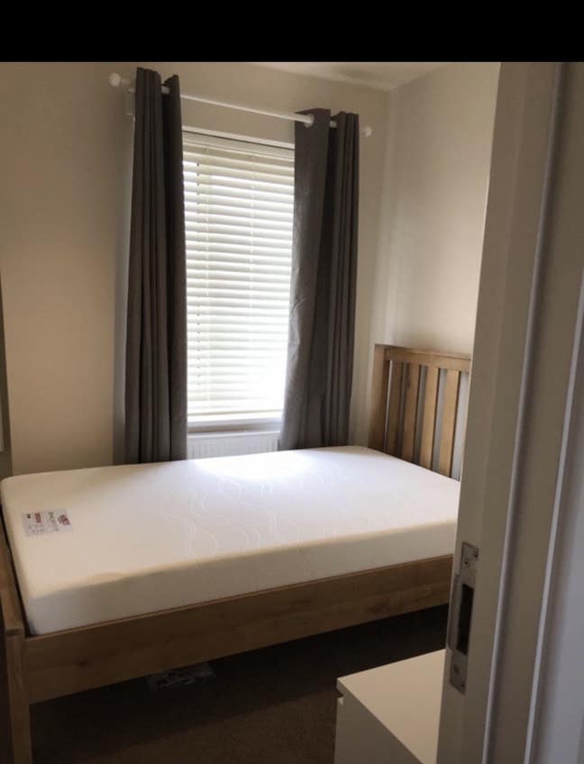 Spacious single Room  Main Photo