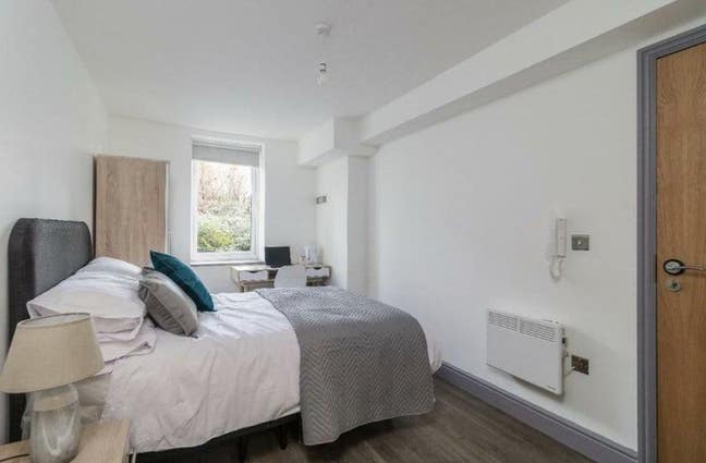 *Stylish Flatshare Main Photo