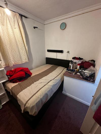 Single room available with double bed for female  Main Photo