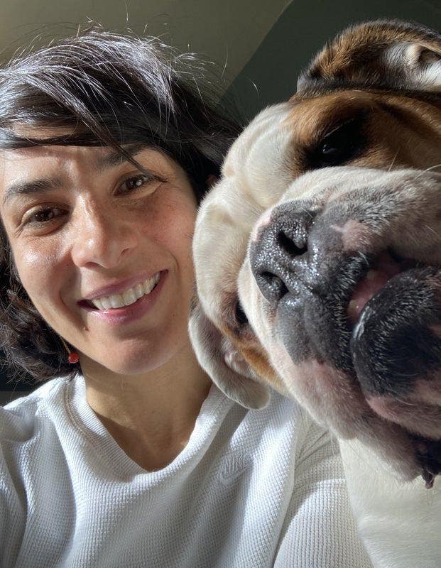 Vet and Bulldog Looking for a House Share Main Photo