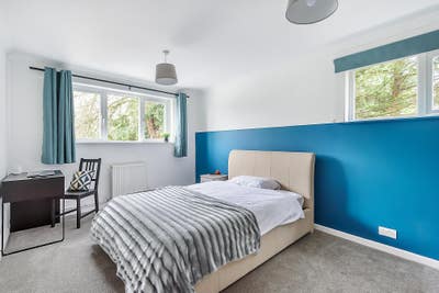 Large Double Room & Big En-suite. Newly Renovated Main Photo