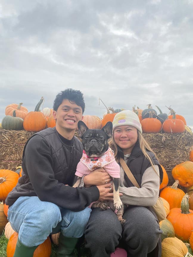 Studio needed by Professional couple with Dog Main Photo