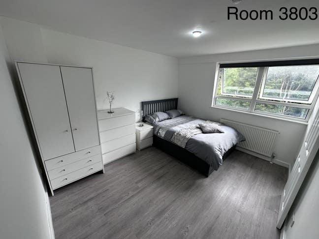 3801 Prime Central Location - Small Double Ensuite Main Photo