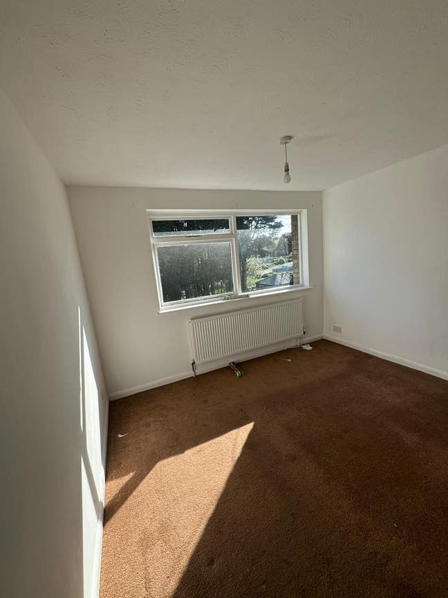 Rent Main Photo