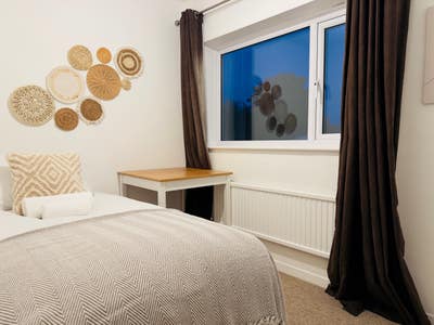 Lovely single room available  Main Photo
