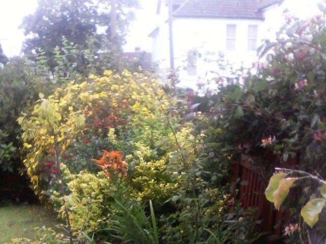 Male Lodger wanted - Professional.men or Retired o Main Photo