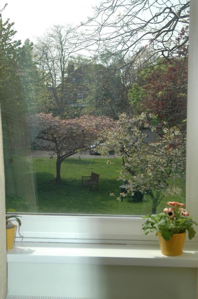 Lovely Room in Chiswick - W4  Main Photo
