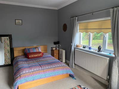 Studio Room Available in Langley Main Photo