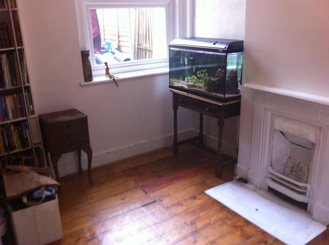 Double room ground floor in easy going house share Main Photo