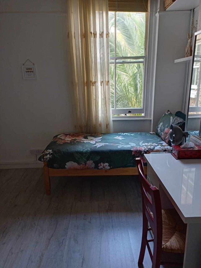 Spacious bright room in chelsea Main Photo