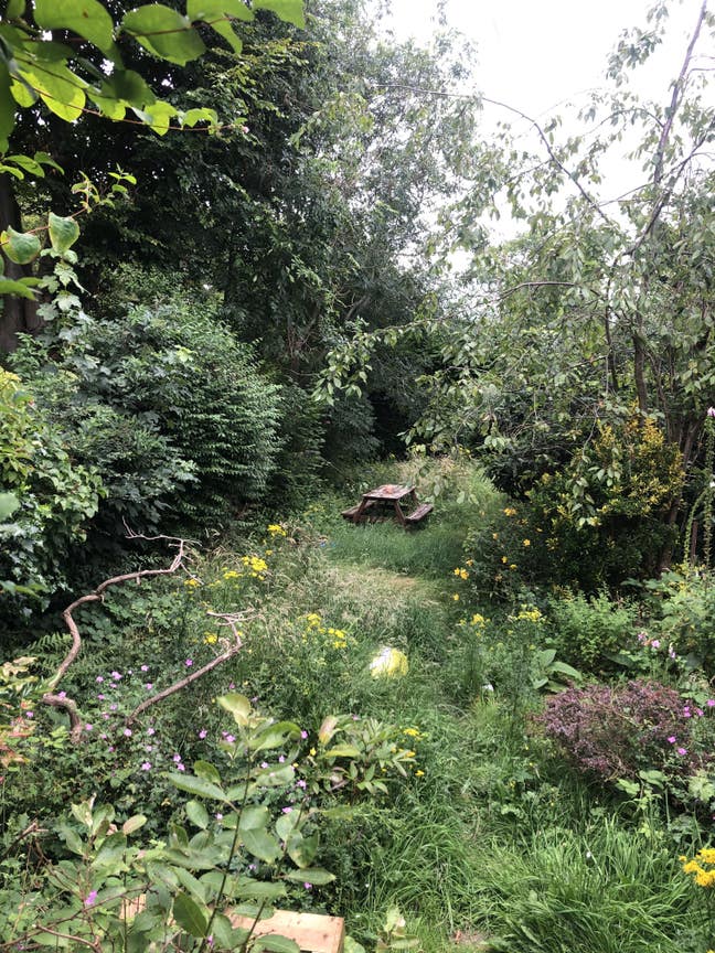 Bright, big room in Meanwood/Chapel A border :) Main Photo