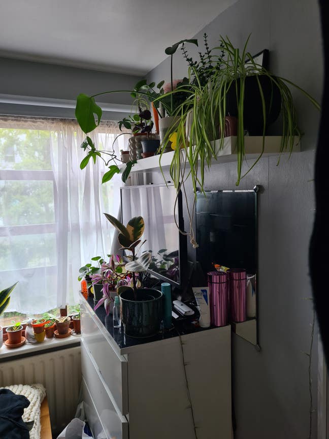 Small double room  Main Photo