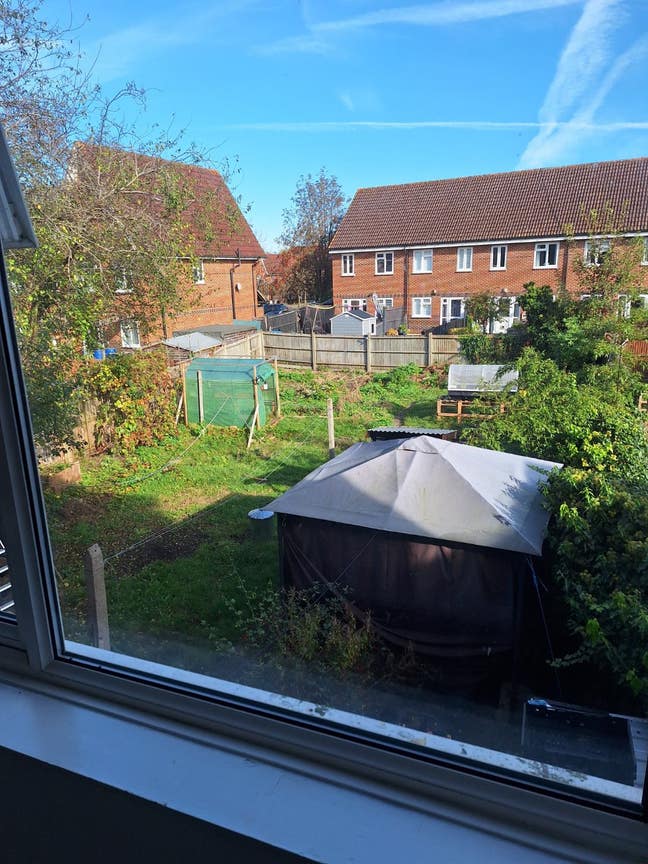 Double room to rent in South Wimbledon SW19 Main Photo