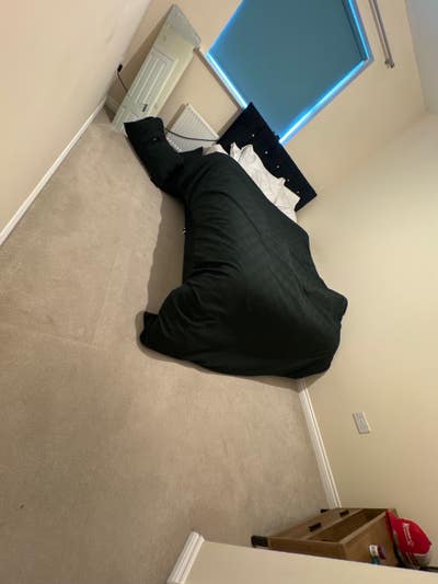 Flat mate  Main Photo