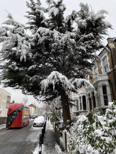 Specious Garden Flat N16 Main Photo