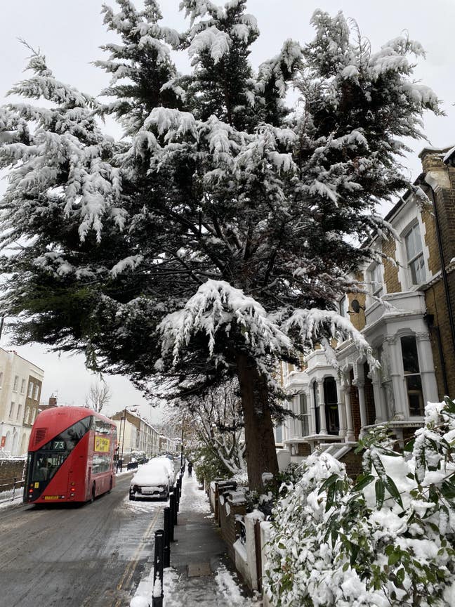 Specious Garden Flat N16 Main Photo