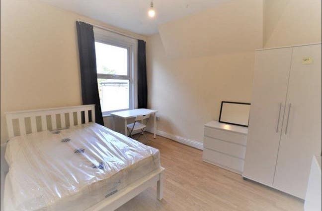 Looking for a Friendly New Housemate! Main Photo
