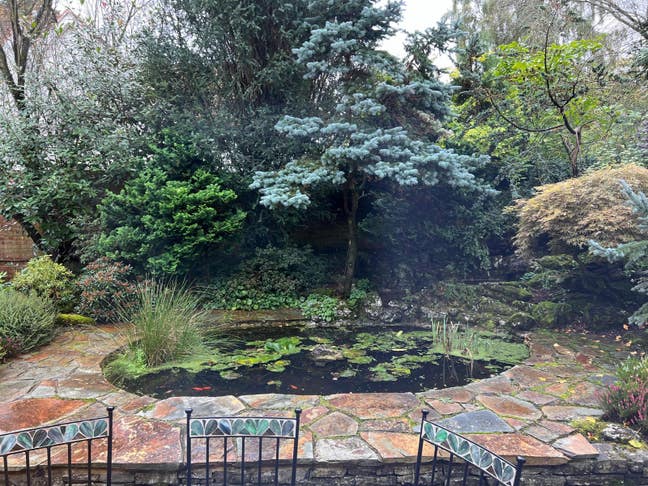 Homeshare with older person in Shiplake, nr Henley Main Photo