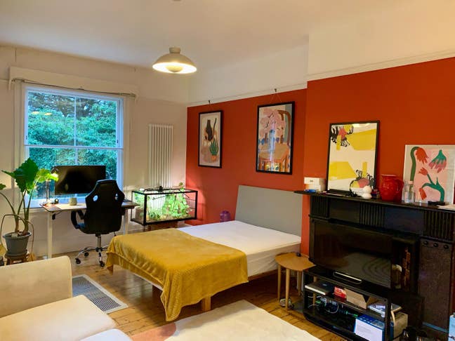 Double room in Finsbury Park with en-suite shower Main Photo