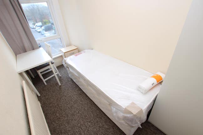 Cosy single room in Seven Sisters Main Photo