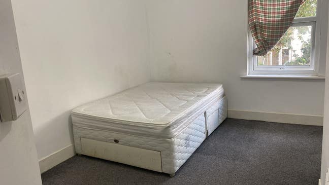 Roommate Needed  Main Photo