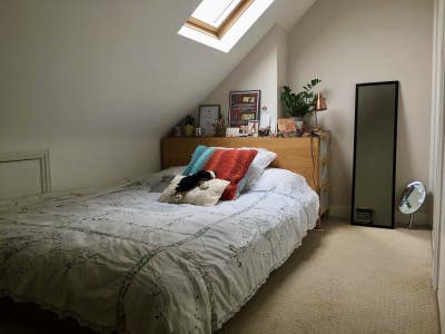Double  room in large Sw16 Victorian  flat-share  Main Photo