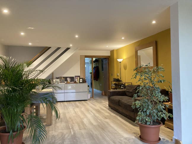 Large luxury on suit , double room  Main Photo