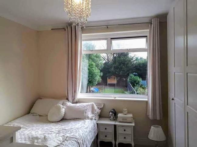 Double Roon Orpington  Main Photo