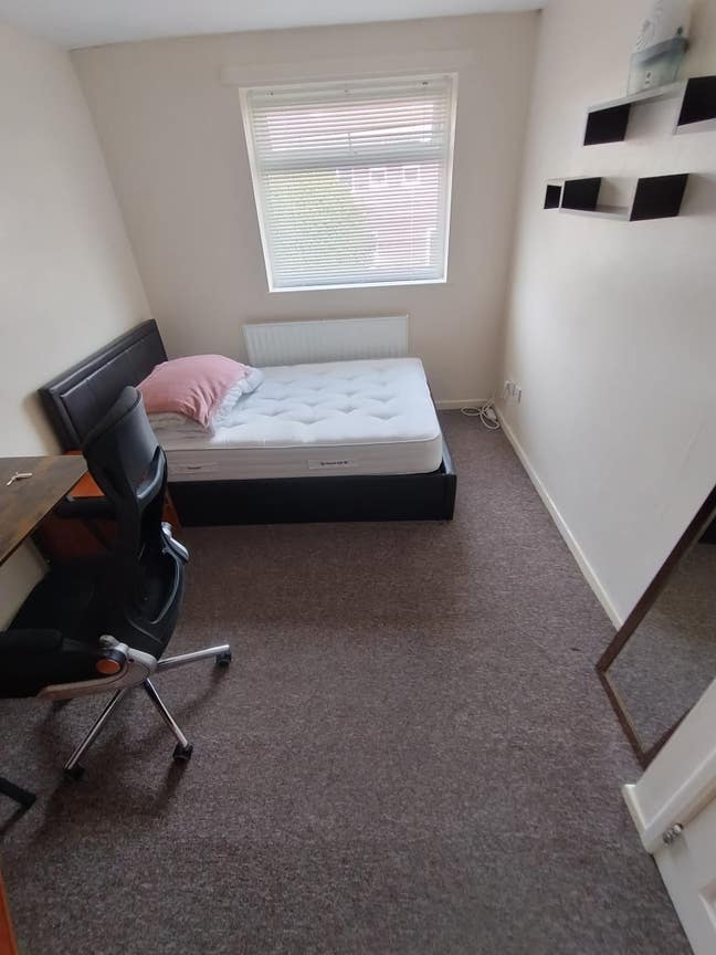 Double room for Rent in House share L7  Main Photo