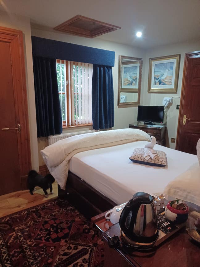 Luxury double room in Tenby  Main Photo