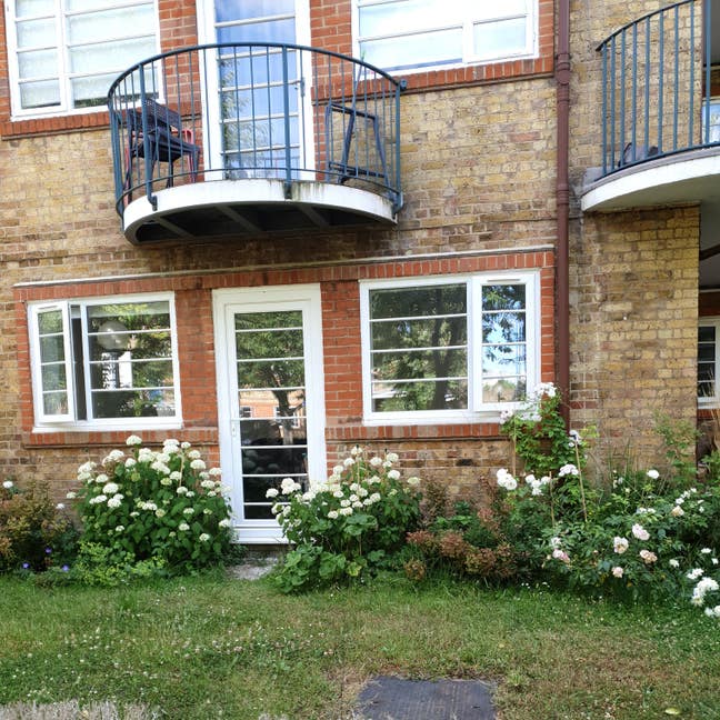 SE16: Stunning huge garden studio by river & ferry Main Photo