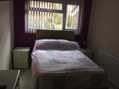 Double room  Main Photo