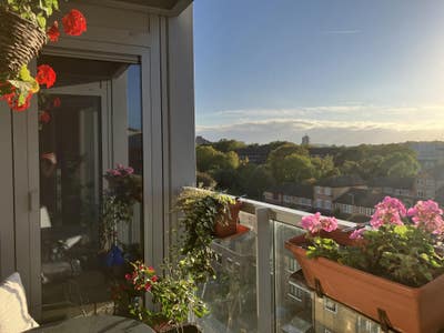 Double room with private bathroom in Greenwich Main Photo