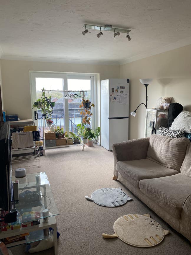 Small double room available  Main Photo