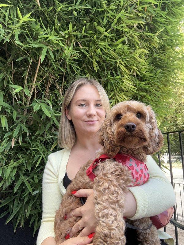 Looking for a room to rent in a house share! Main Photo