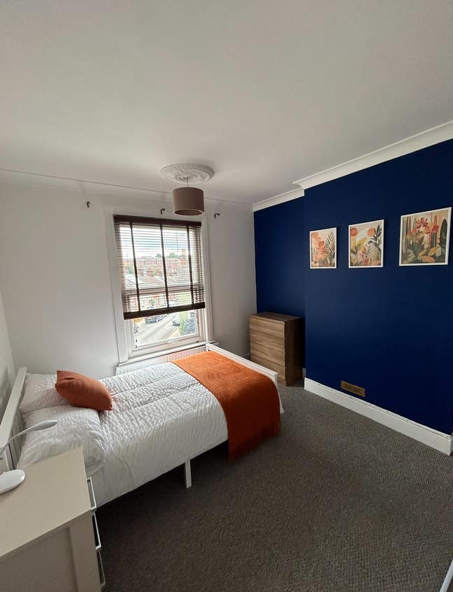 Room nr Christchurch pk, 2 roomies, 2 🐶😊 Main Photo