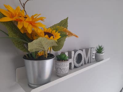 Looking for something a bit different? Main Photo