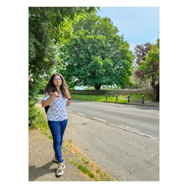 Looking for a Home and Homie Main Photo