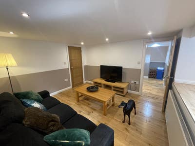 Whole basement flatlet in family home Main Photo