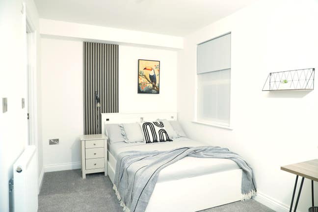 Newly renovated modern 4 bedroom co-living house Main Photo