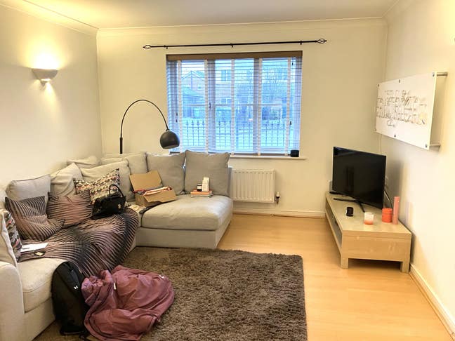 Super housemate required!. Dogs welcome.  Main Photo
