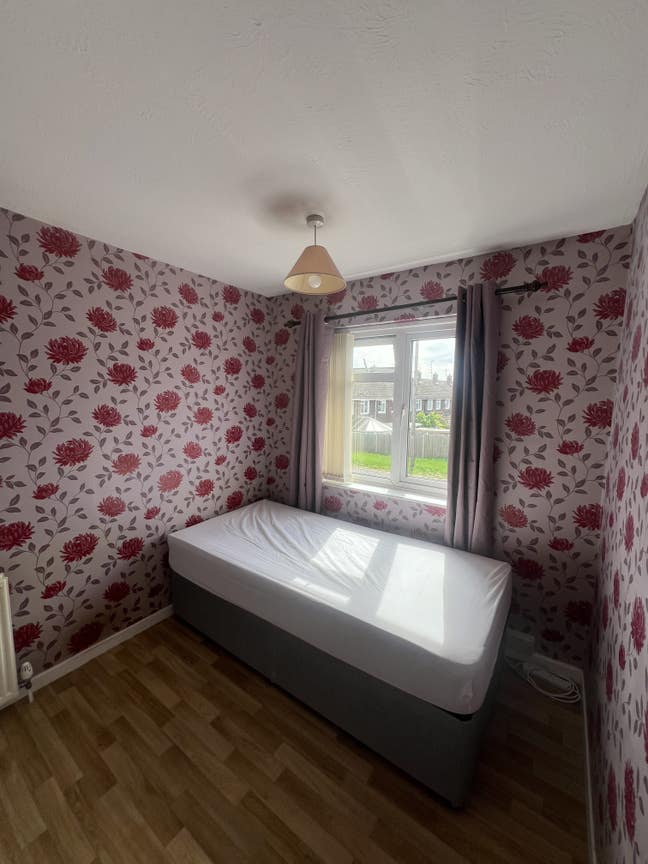 Room Available for Rent - All Inclusive Main Photo