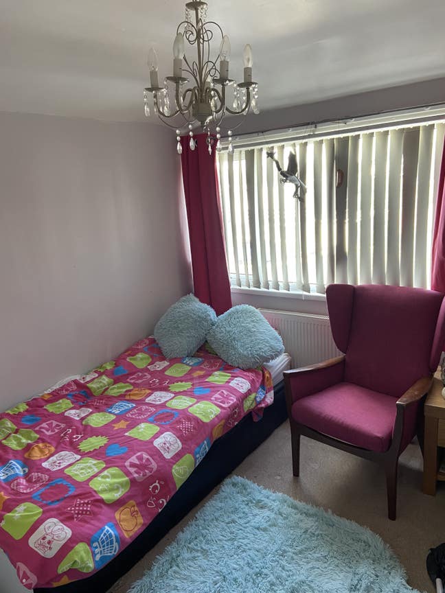 Large single room to rent Main Photo