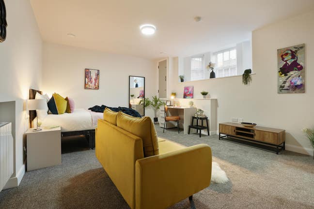 Last Room Remaining - Designer Suite Rooms  Main Photo