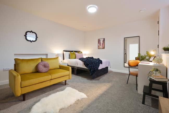 Last Room Remaining - Designer Suite Rooms  Main Photo