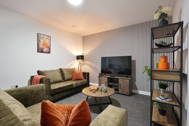 Last Room Remaining - Designer Suite Rooms  Main Photo